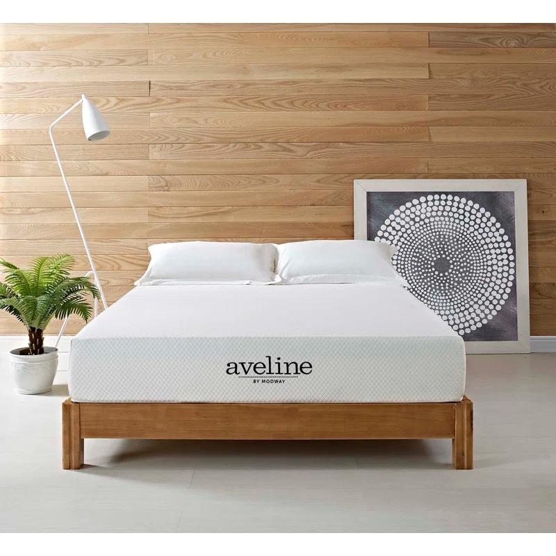 Modway Aveline Memory Foam Mattress & Reviews | Wayfair