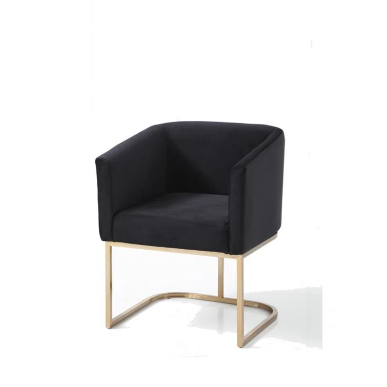 Echo Upholstered Arm Chair