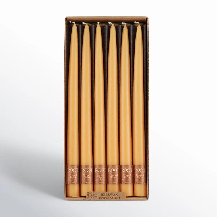 Root Candles 12 Piece Unscented Taper Candle Set & Reviews | AllModern