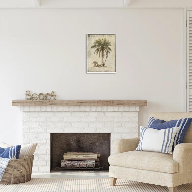 Stupell Industries Ba-008-Framed " Vintage Palm Tree Study " by Andrea Haase