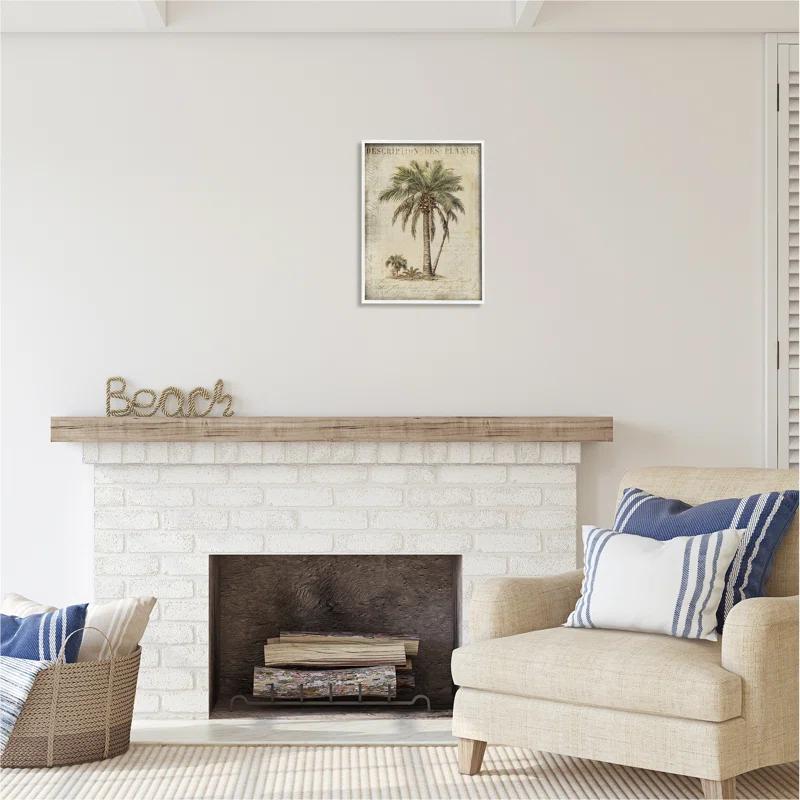 Stupell Industries Ba-008-Framed " Vintage Palm Tree Study " by Andrea Haase