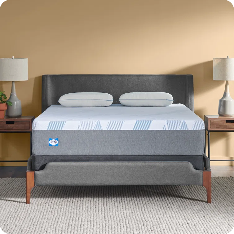 Sealy Sealy Dreamlife 12” Plush Foam Mattress-in-a-Box