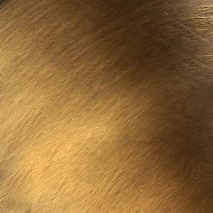 Alora Lighting Astrid 54.6875'' LED Novelty Floor Lamp