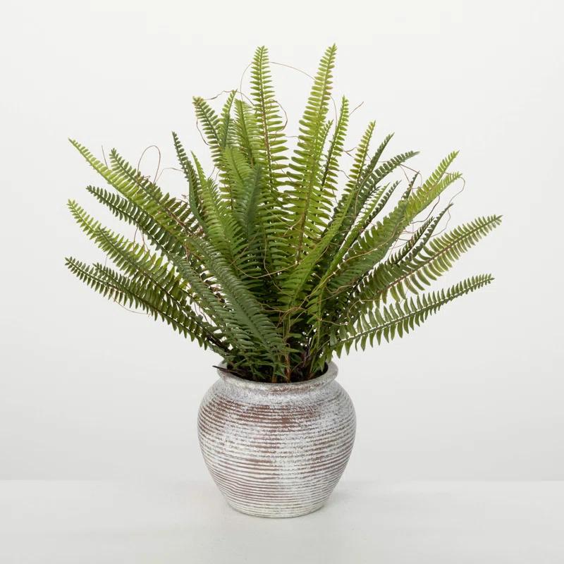 Ophelia & Co. Artificial Rustic Potted Fern Bush 16"H; Green