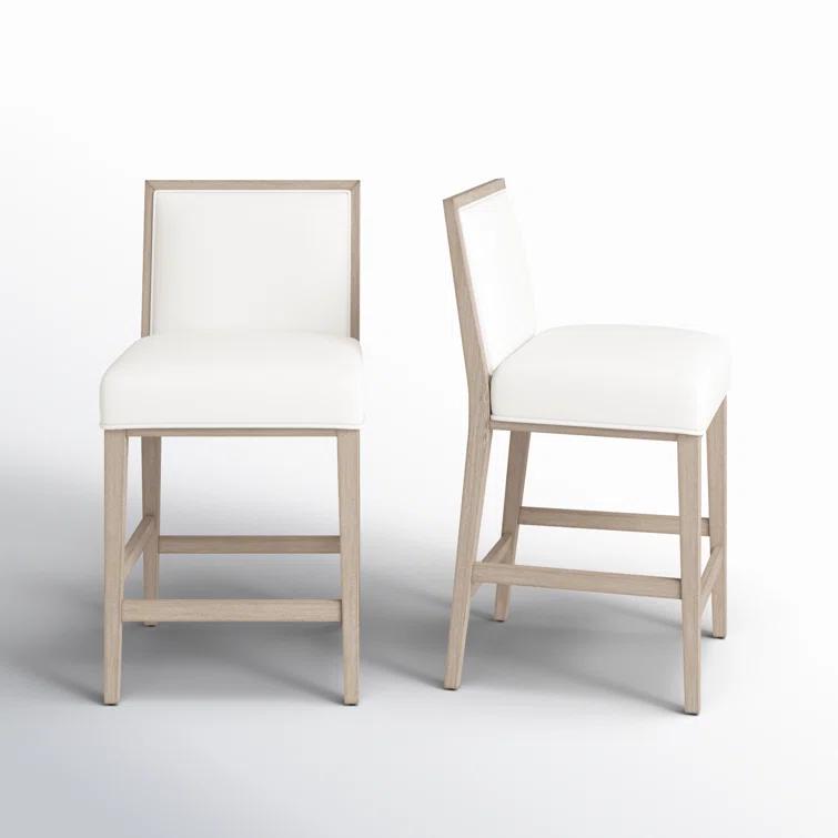 Klaude Counter Stool (Set of 2)