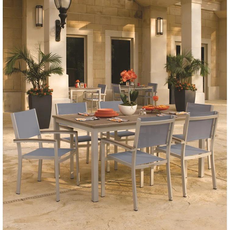 Hermes Indoor / Outdoor Dining Chair (Set of 2) - Gray and Carbon
