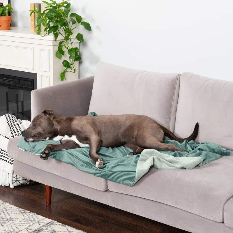 FurHaven Waterproof Faux Velvet Throw Blanket