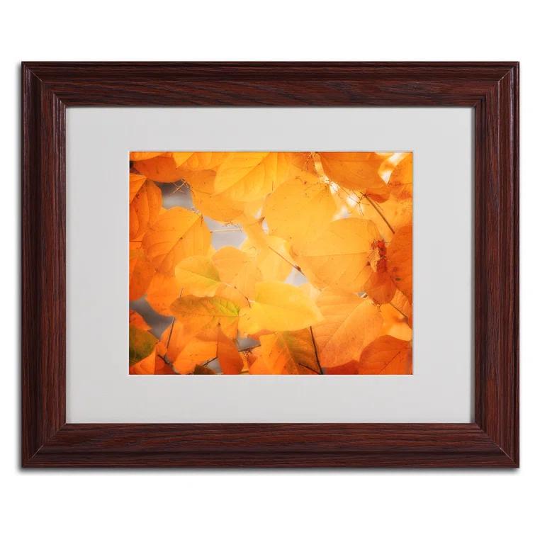Trademark Fine Art " Seasonal Leaves " by Philippe Sainte-Laudy