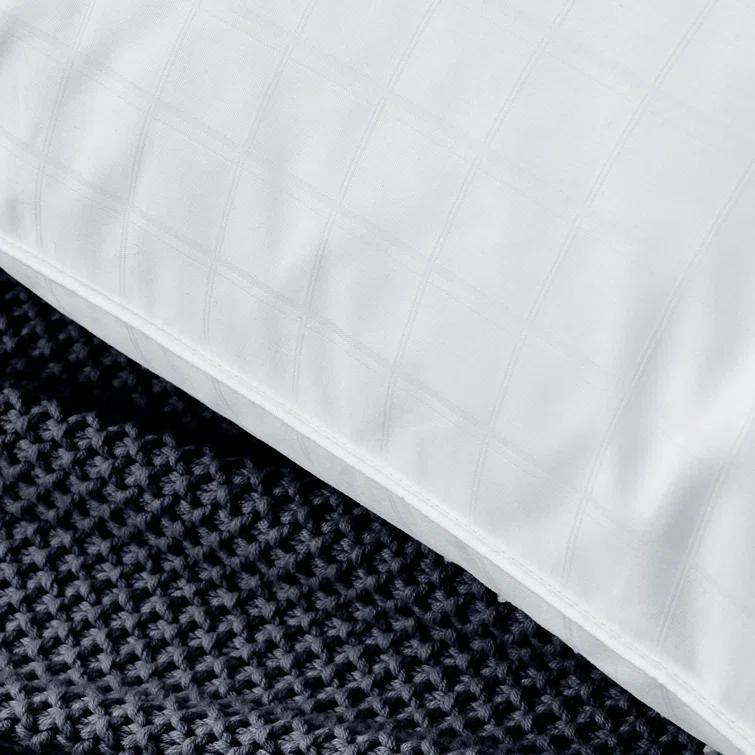 Alwyn Home Down Blend Plush Pillow (Set of 2)