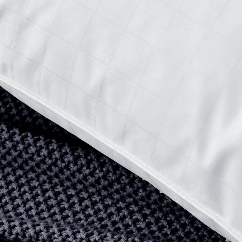 Alwyn Home Down Blend Plush Pillow (Set of 2)