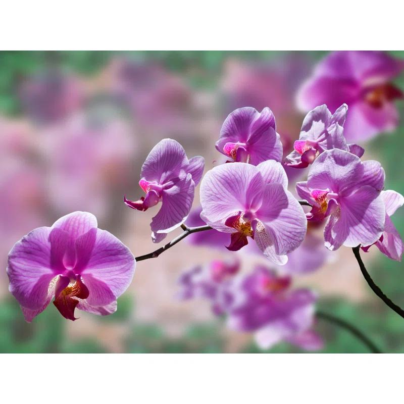 Artful Printers Orchid - Wrapped Canvas Photograph Print | Wayfair
