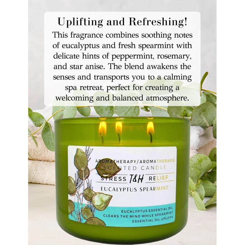 T&H Wholesalers Eucalyptus Spearmint Scented Soy Candle 3 Wick Aromatherapy Candle for Women and Men