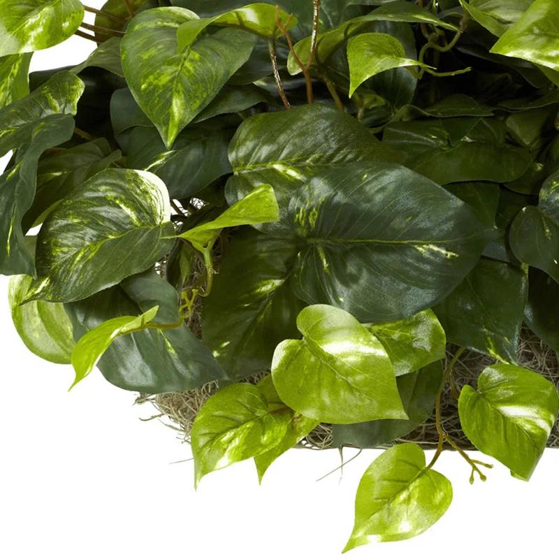 Primrue Pothos Ledge Plant (Set on Foam) Silk Plant