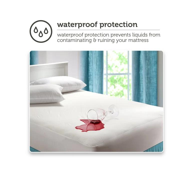 Sealy Waterproof Mattress Cover & Reviews | Wayfair