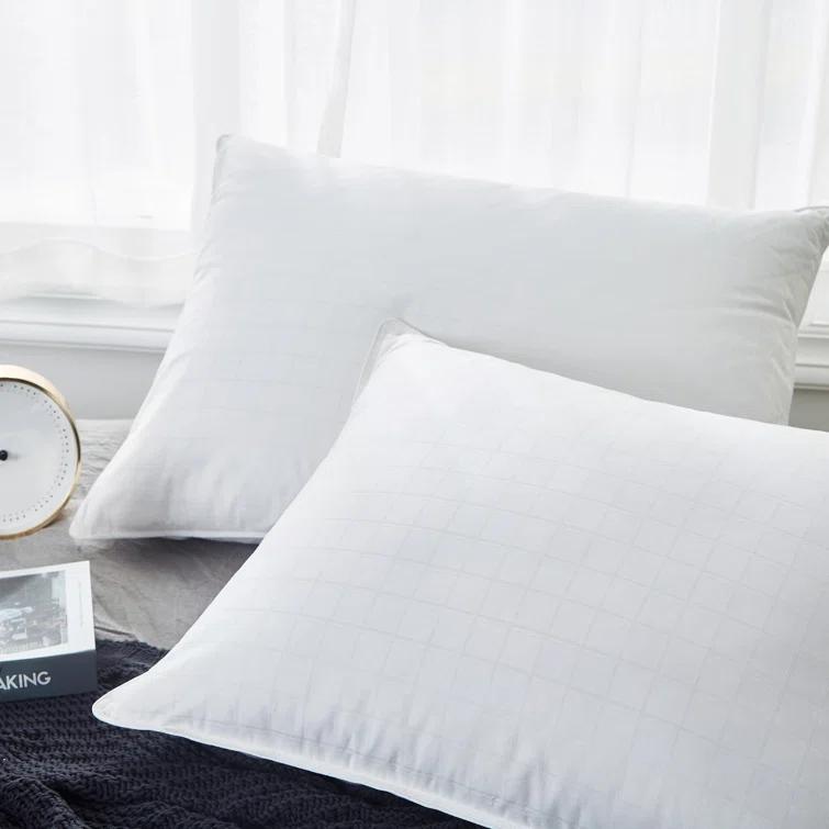 Alwyn Home Down Blend Plush Pillow (Set of 2)