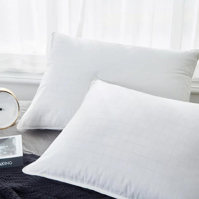 Alwyn Home Down Blend Plush Pillow (Set of 2)
