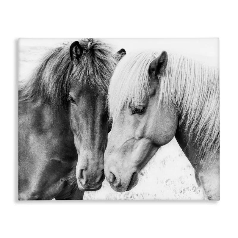 Stupell Industries " Horse Love Duo Portrait " by Sisi And Seb