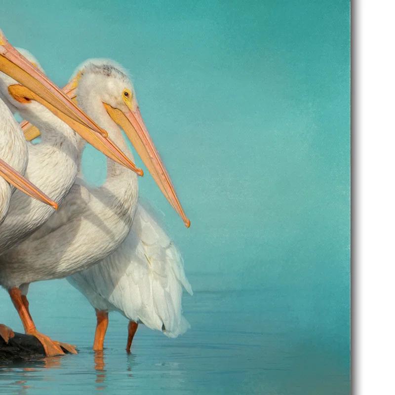 Trademark Fine Art Jai Johnson " We Are Family White Pelicans " by Jai Johnson