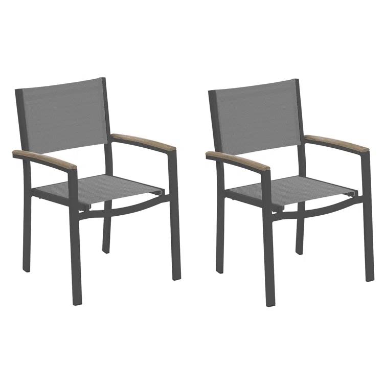 Hermes Indoor / Outdoor Dining Chair (Set of 2) - Gray and Carbon