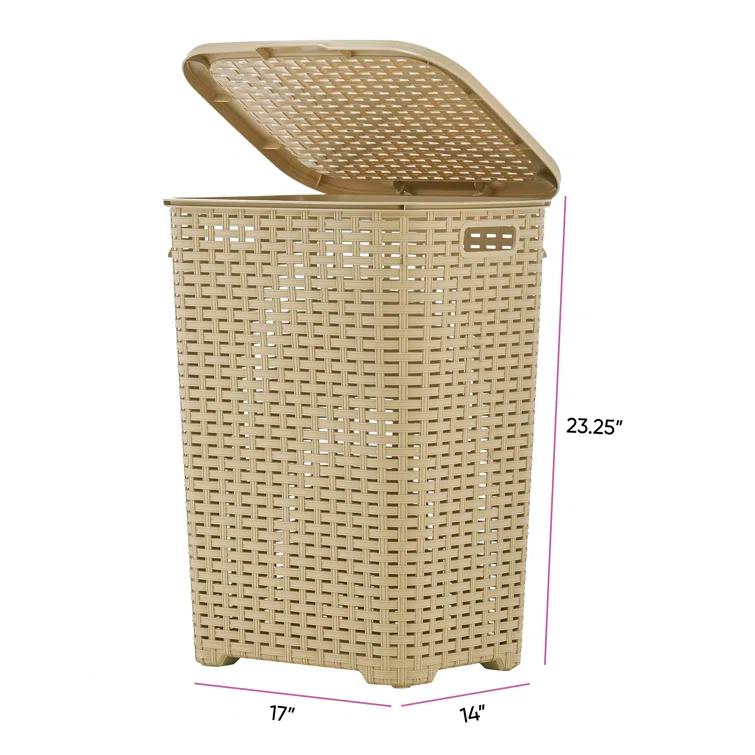 Rebrilliant Plastic Laundry Hamper with Handles