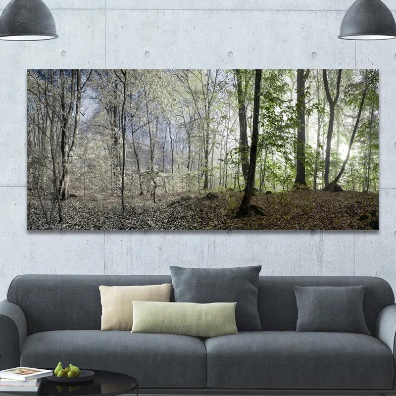Design Art " Green Morning In Forest Panorama "