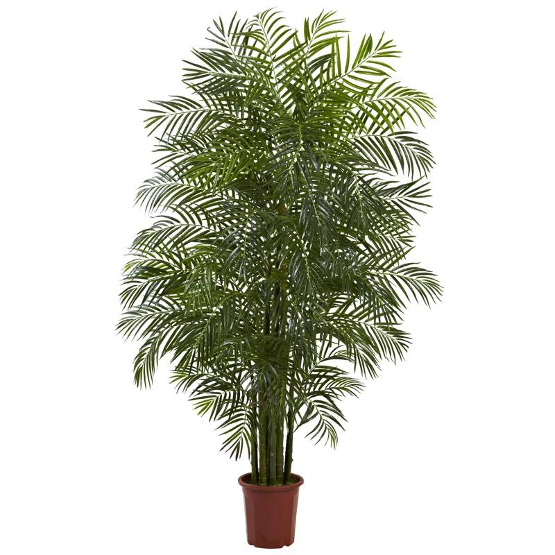 Birch Lane™ Palmier d'Areca Daphné 7,5 pieds résistant aux UV (intérieur/extérieur)