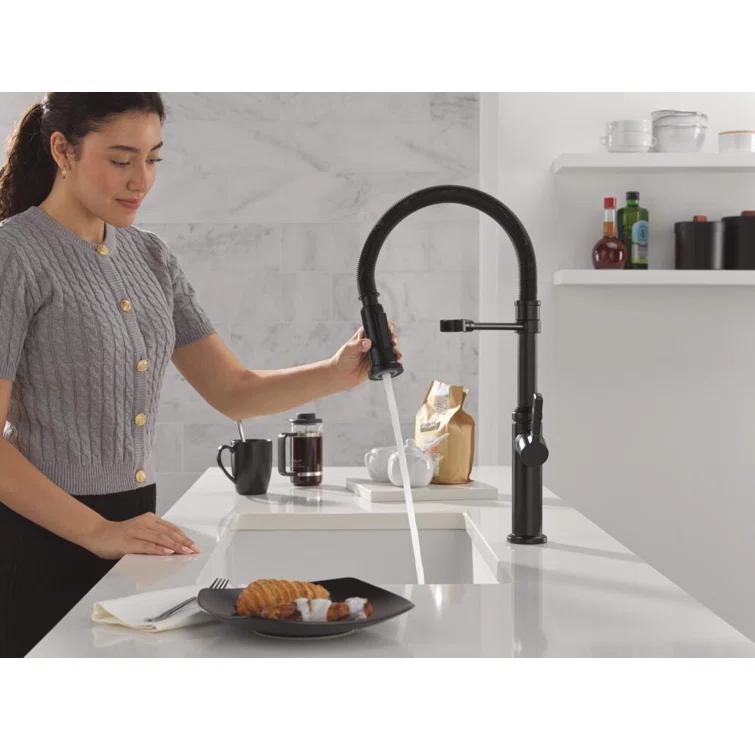 Delta Rhett Pro Commercial Kitchen Faucet, Pull Down Sprayer Kitchen Sink Faucet 18829-BL-DST