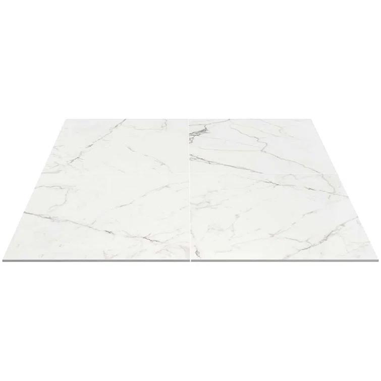 24" x 24" Polished Marble Look Porcelain Floor and Wall Tile (15.5 Sq. Ft. / Case)