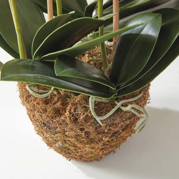 Napa Home and Garden Hand-crafted Phalaenopsis Orchid 30 inch Tall Drop-In