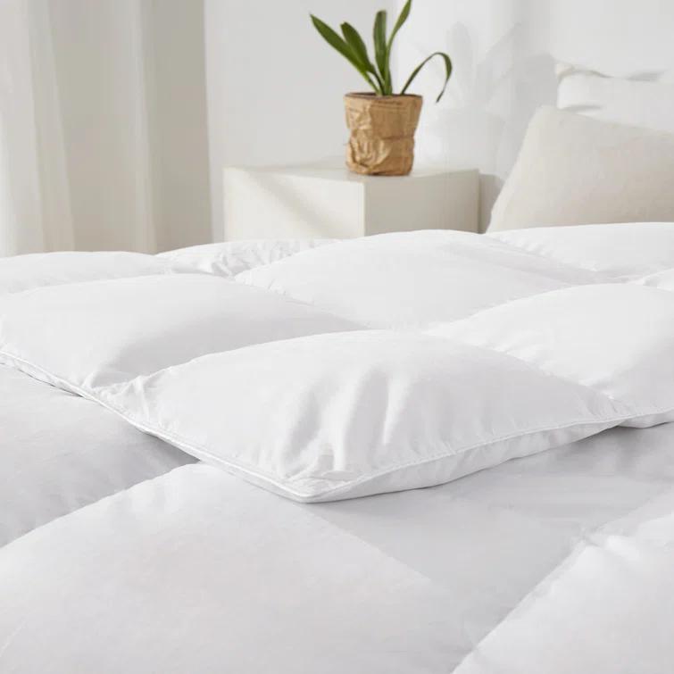 Alwyn Home 600in³/oz Fill Power Winter Goose Down Comforter