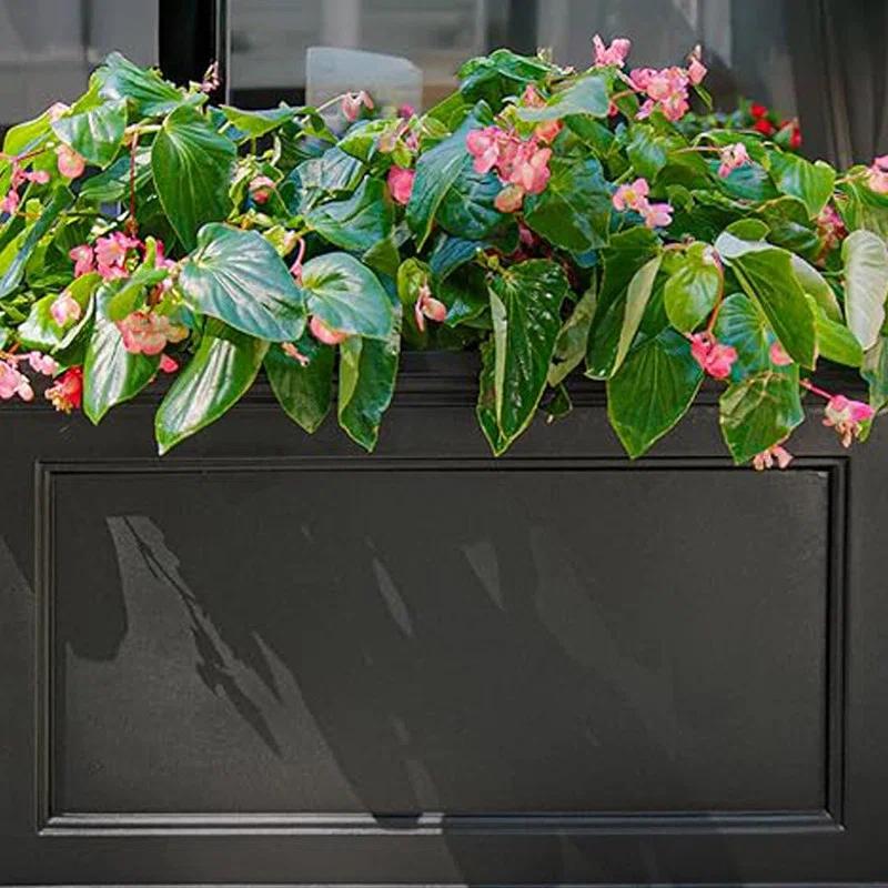 Winston Porter Anastasiya 20"x36" Resin Planter with Water Reservoir