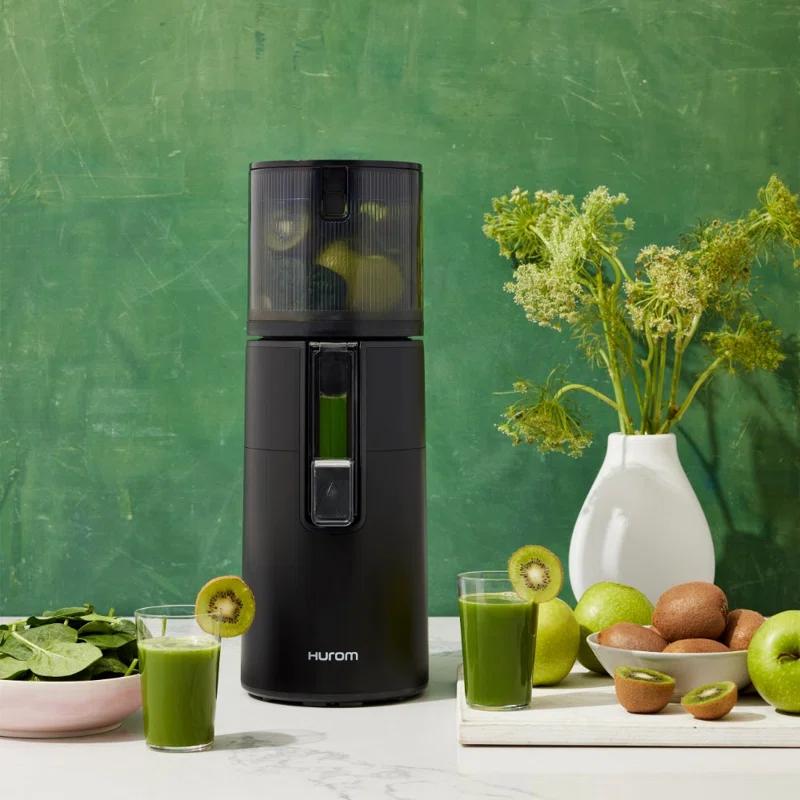Hurom Hurom H400 Two Tone Easy Clean Slow Juicer