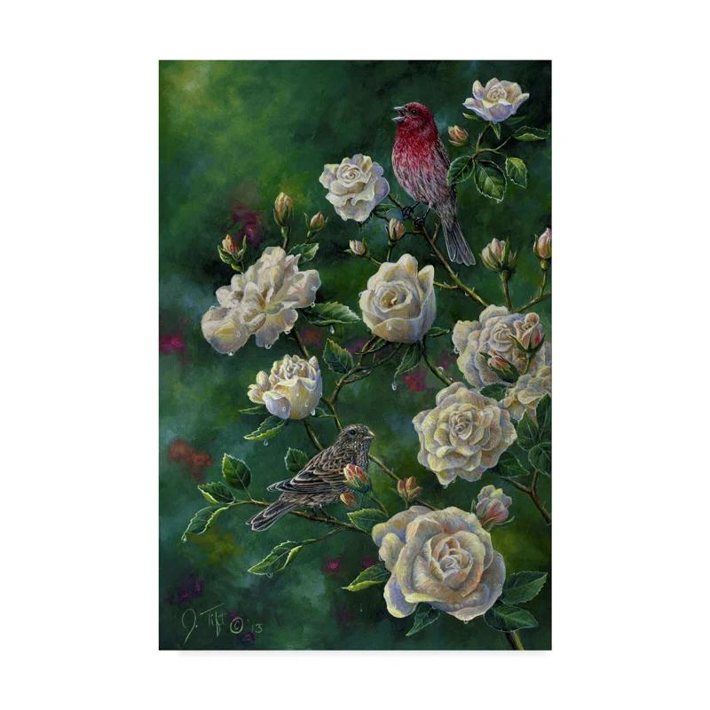 Trademark Fine Art Jeff Tift " Purple Finch " by Jeff Tift