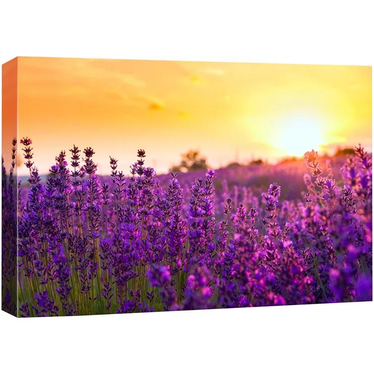 IDEA4WALL Flower Blossom " Lavender Flower Field At Sunset Floral Plants Photography Modern Art Rustic "