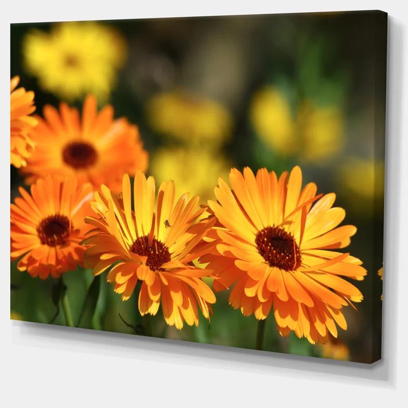 Design Art " Blooming Orange Marigold Flowers "