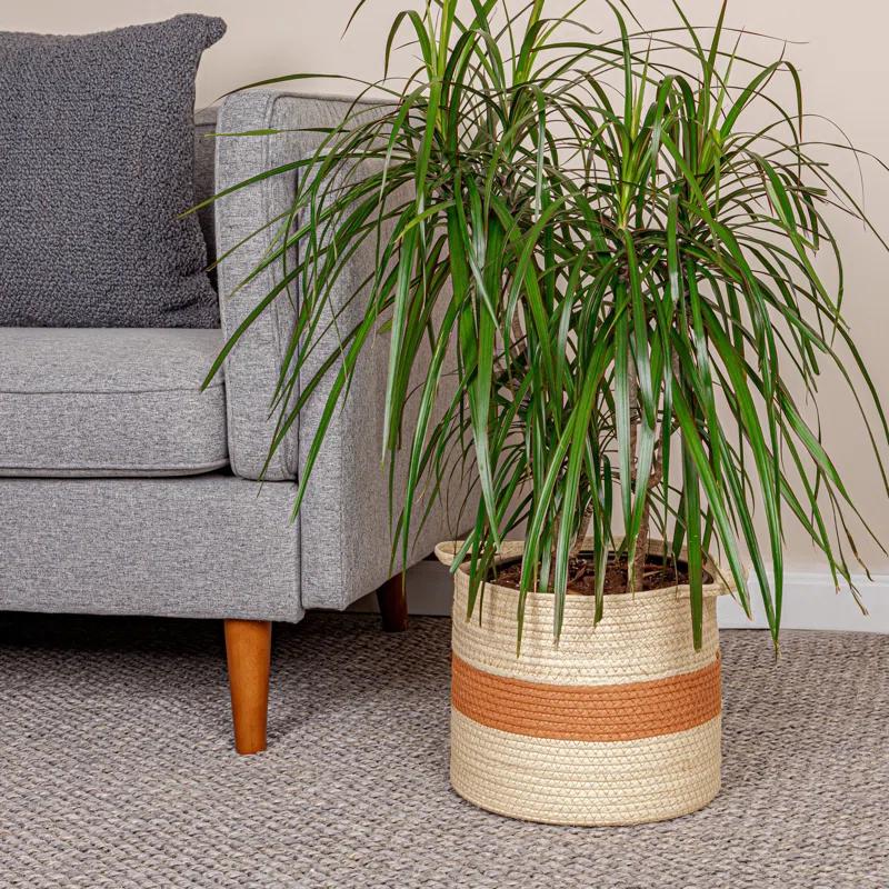 Household Essentials Household Essentials Basket