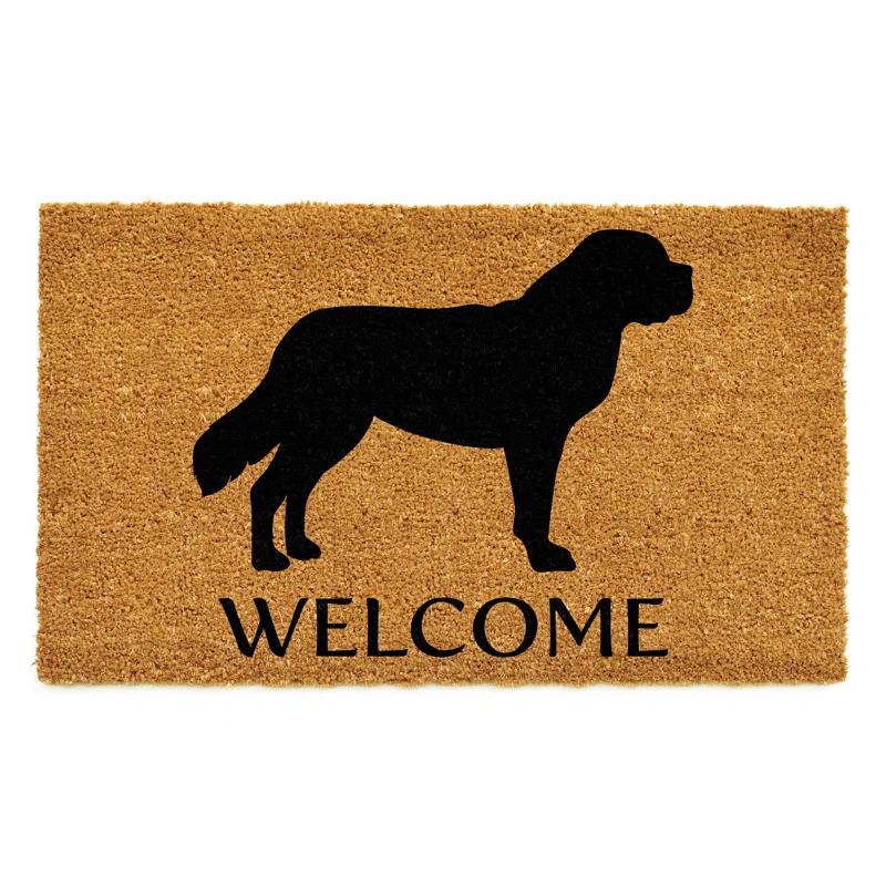 Red Barrel Studio® Non-Slip Indoor Doormat