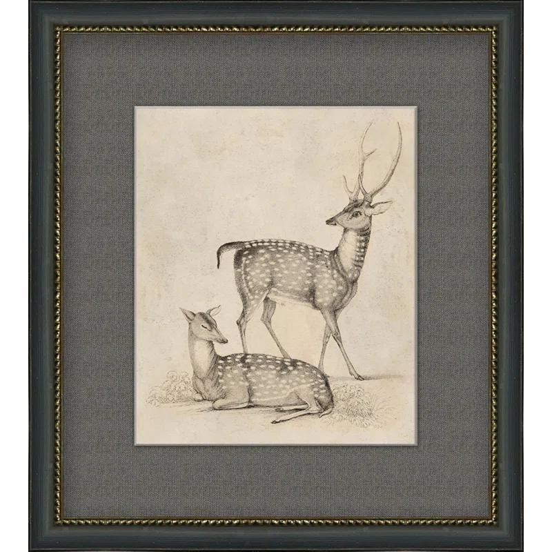 Antique " Antique Deer " Painting Print
