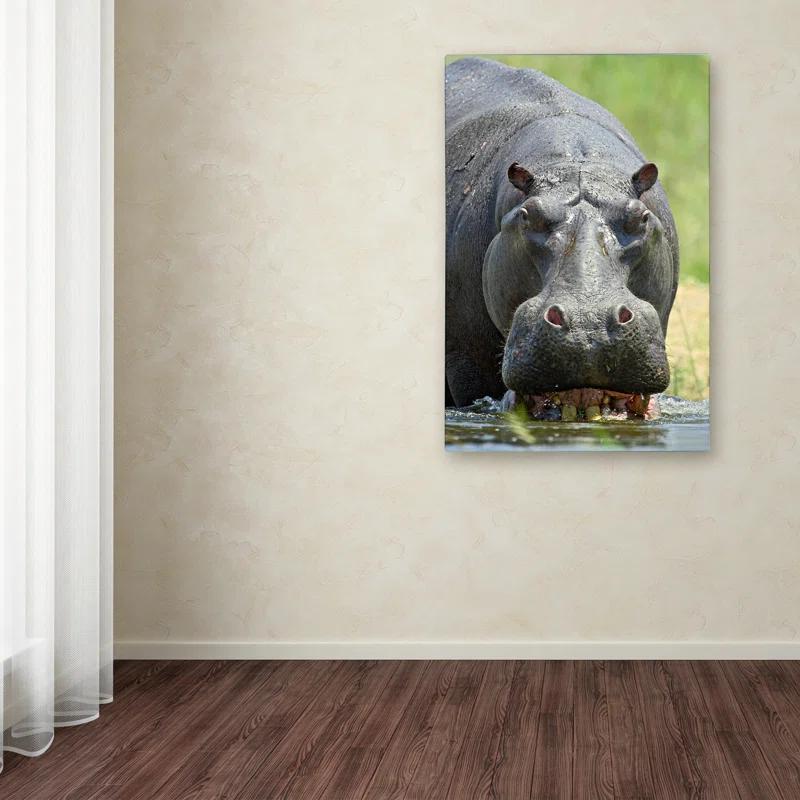 Trademark Fine Art Robert Harding Picture Library " Hippo " by Robert Harding Picture Library
