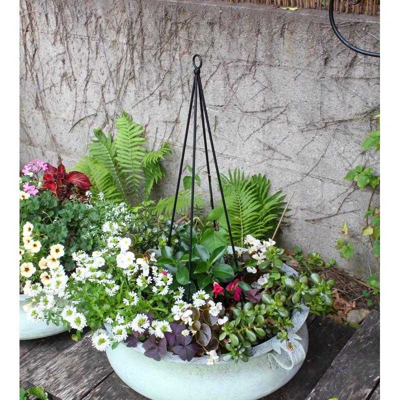 Freeport Park® 34'' H x 6'' W Metal Expanding Trellis