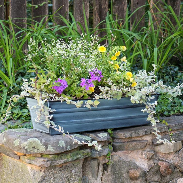 Winston Porter Dynamism Metal Window Box Planter