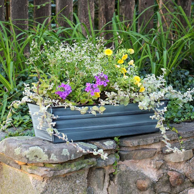 Winston Porter Dynamism Metal Window Box Planter