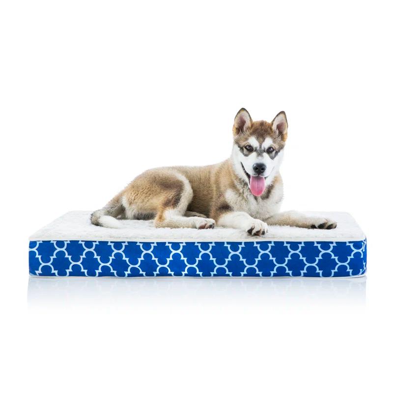 Tucker Murphy Pet™ Cottrell Waterproof Designer Pillow