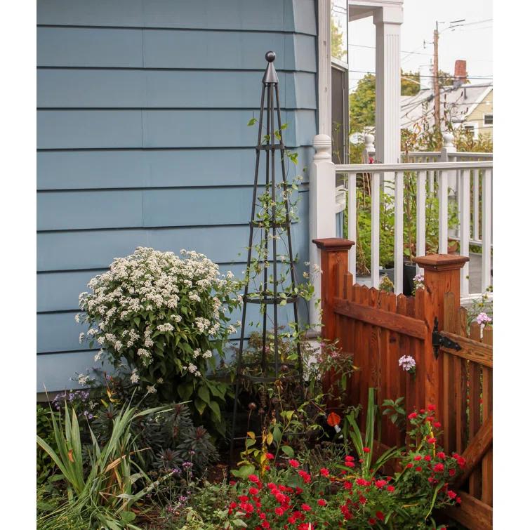 Latitude Run® Alarcon-Chacon 84'' H x 13'' W Iron Obelisk Trellis