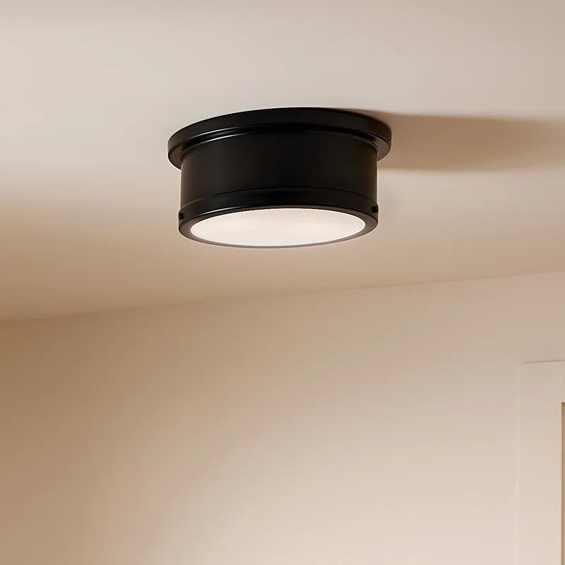 Everly Quinn Zhazira Flush Mount