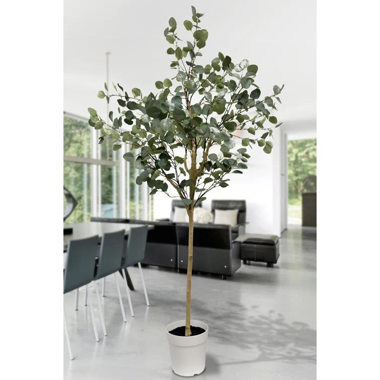 Algreen Eucalyptus Tree