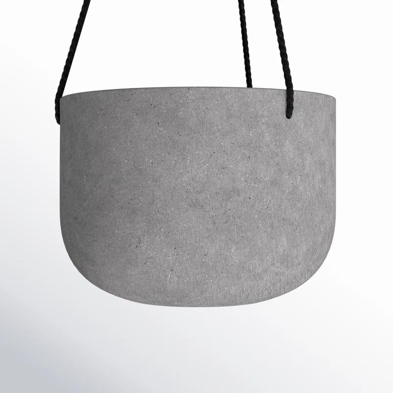 AllModern McGrath Hanging Planter