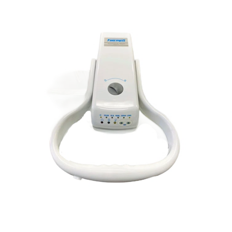 China Feiyue China Feiyue Family 1600 Watt Non Stick Soleplate Iron