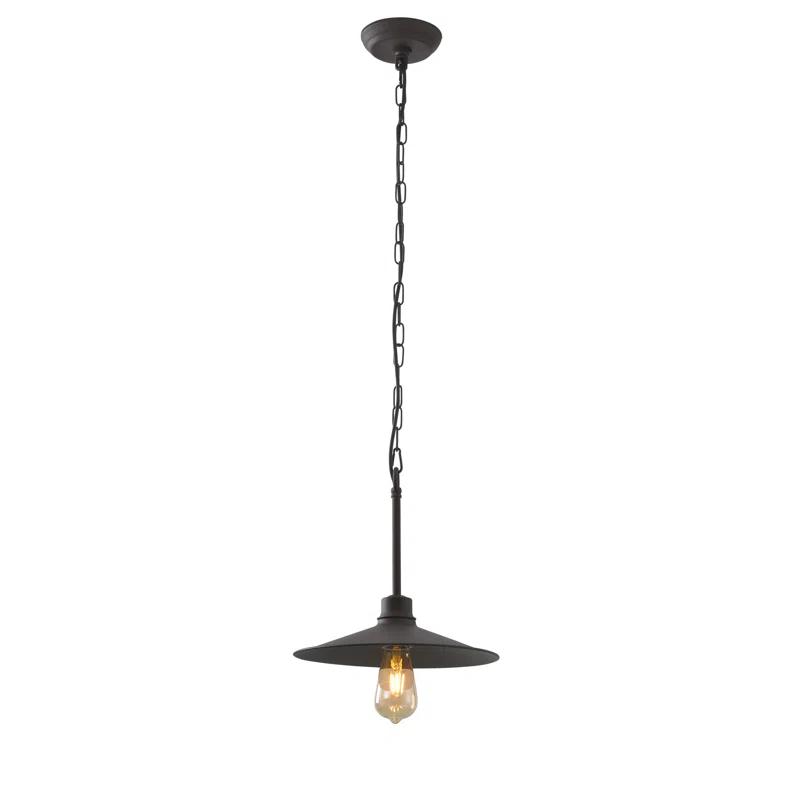 Varaluz 1 - Light Single Pendant