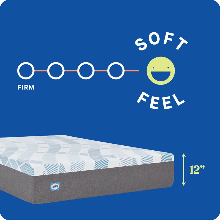 Sealy Sealy Dreamlife 12” Plush Foam Mattress-in-a-Box
